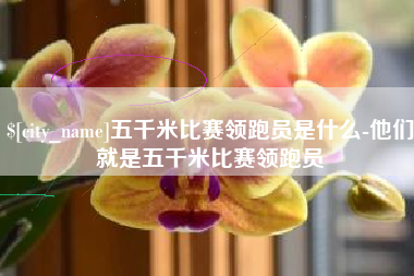 镇江五千米比赛领跑员是什么-他们就是五千米比赛领跑员