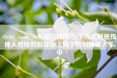 镇江60米接力赛技巧-下压式则是传棒人将棒的前部由上向下传到接棒人手中