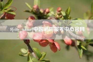 镇江中国消防报考中心官网
