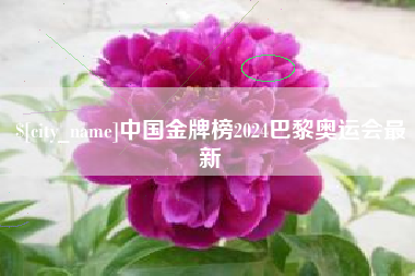 镇江中国金牌榜2024巴黎奥运会最新