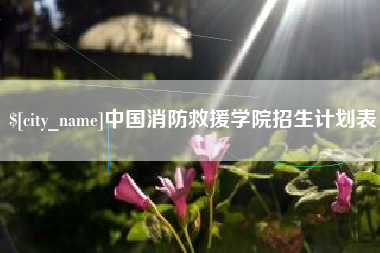 镇江中国消防救援学院招生计划表