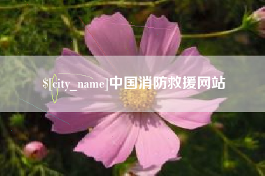 镇江中国消防救援网站