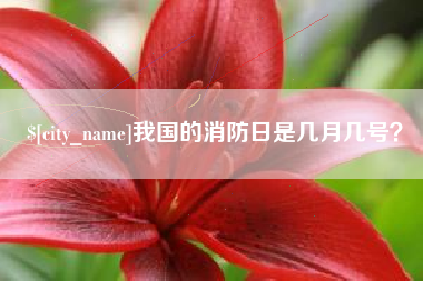 镇江我国的消防日是几月几号？