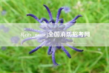 镇江全国消防招考网