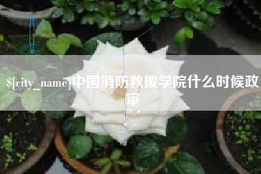 镇江中国消防救援学院什么时候政审