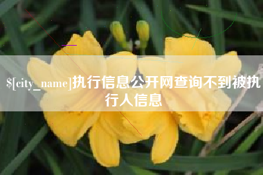 镇江执行信息公开网查询不到被执行人信息