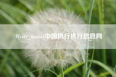 镇江中国执行执行信息网