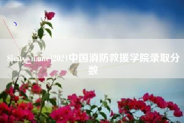镇江2021中国消防救援学院录取分数