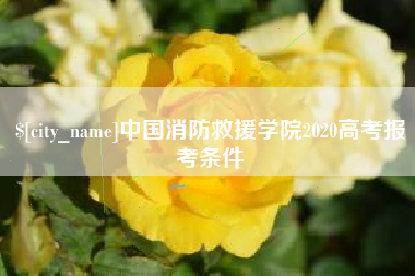 镇江中国消防救援学院2020高考报考条件