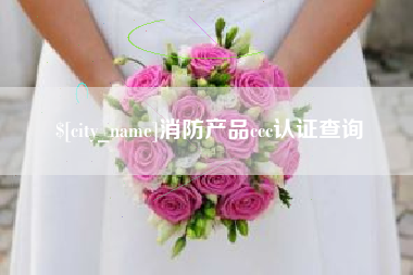 镇江消防产品ccc认证查询