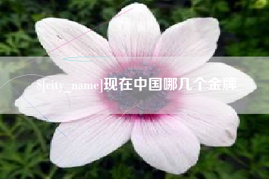 镇江现在中国哪几个金牌
