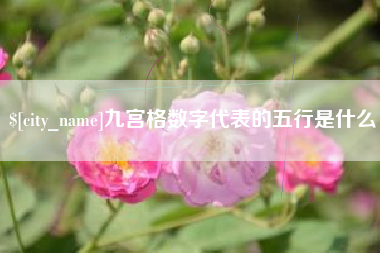 镇江九宫格数字代表的五行是什么