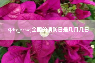 镇江全国的消防日是几月几日