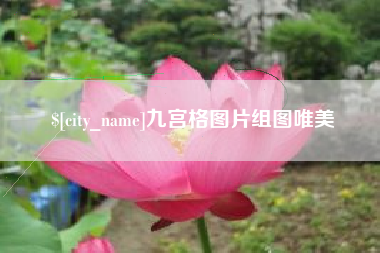 镇江九宫格图片组图唯美