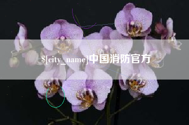 镇江中国消防官方