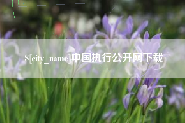 镇江中国执行公开网下载
