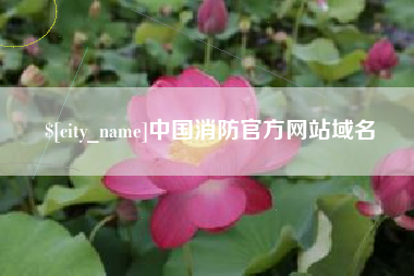 镇江中国消防官方网站域名