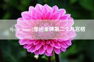 镇江奥运金牌第二个九宫格