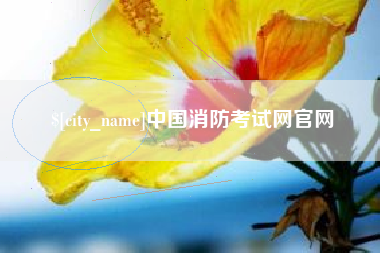 镇江中国消防考试网官网