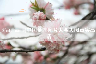 镇江中国金牌图片大全大图真实高清