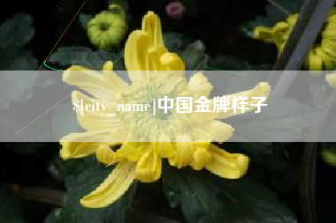镇江中国金牌样子
