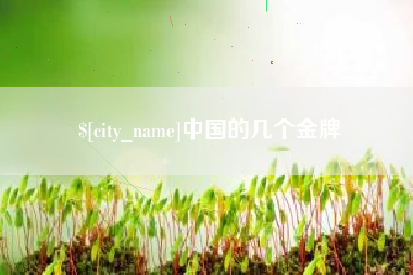 镇江中国的几个金牌