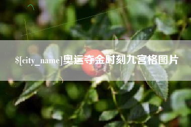 镇江奥运夺金时刻九宫格图片