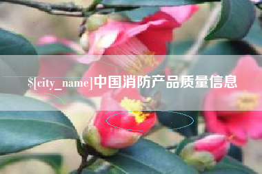 镇江中国消防产品质量信息