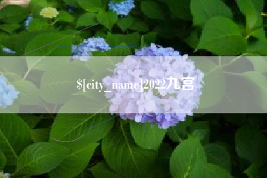 镇江2022九宫