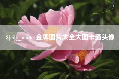 镇江金牌图片大全大图卡通头像