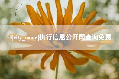 镇江执行信息公开网查询免费