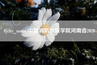 镇江中国消防救援学院河南省2020